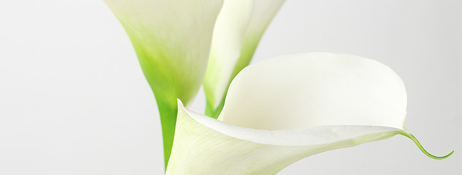 trauerfeier-banner